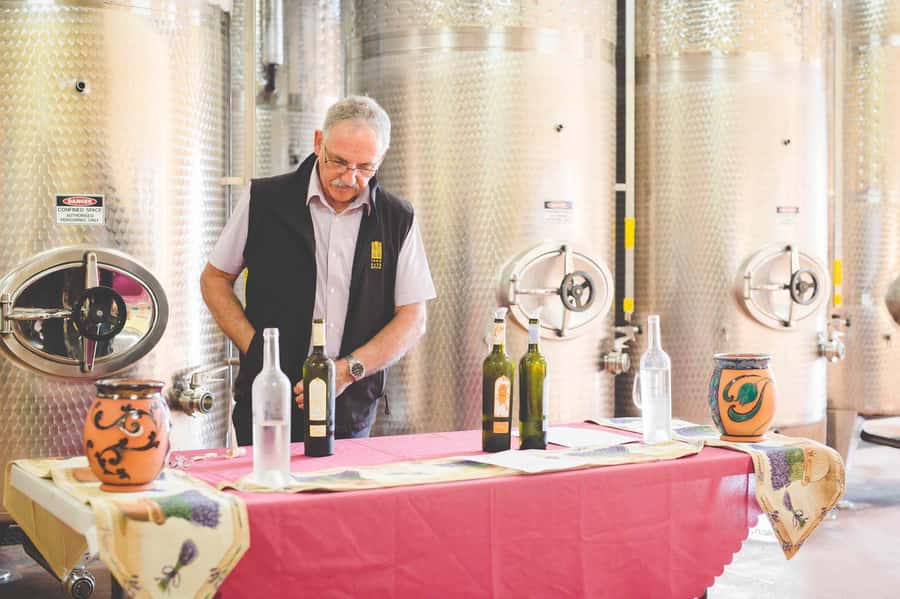 From Sydney: Award-Winning Hunter Valley Wine & Cheese Tour - Boutique family cellar doors in Pokolbin and the broader Hunter Valley
