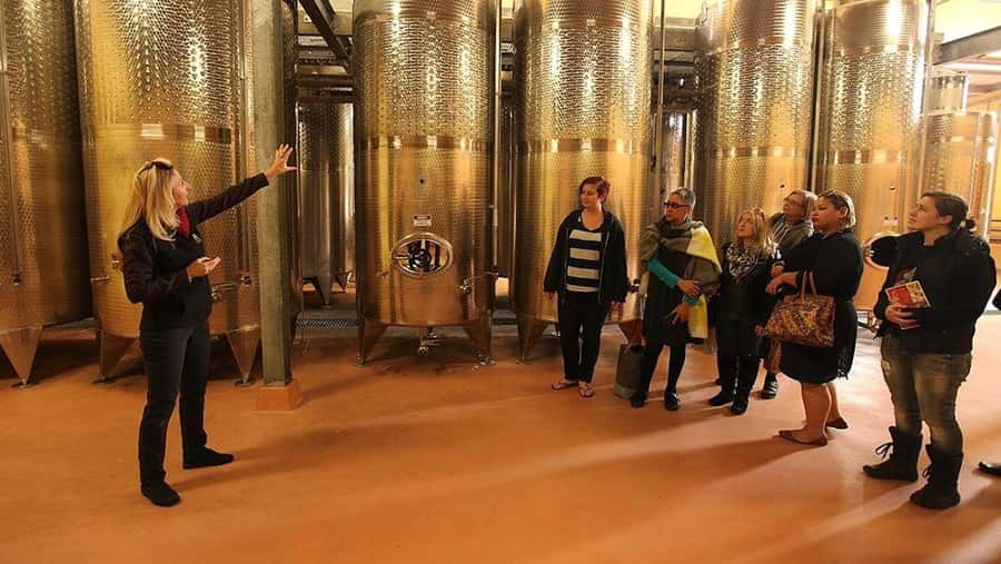 From Sydney: Award-Winning Hunter Valley Wine & Cheese Tour - Small-group structure: how 14 people changes the wine tasting