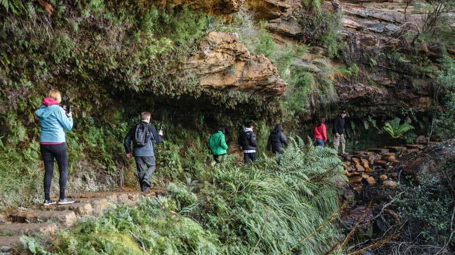 From Sydney: Blue Mountains Bushwalks & Featherdale Tour - What I’d Pack (And What You Should Not Bring)