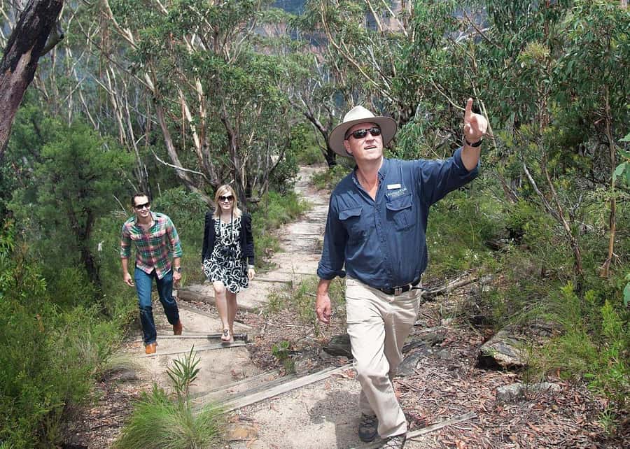 From Sydney: Blue Mountains Bushwalks & Featherdale Tour - Featherdale Wildlife Park: Koalas, Kangaroos, and Real Conservation Talk