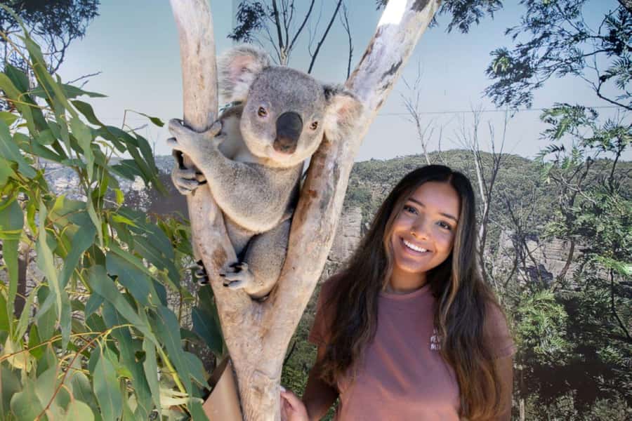 From Sydney: Blue Mountains Day Tour & Hop-on, Hop-off Tour - Sydney Zoo: Wildlife Time That Actually Fits the Day