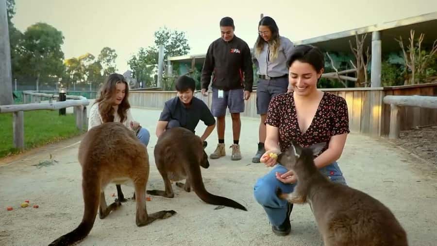 From Sydney: Blue Mountains Day Tour & Hop-on, Hop-off Tour - Echo Point and the Three Sisters: Where the Mountains Feel Iconic