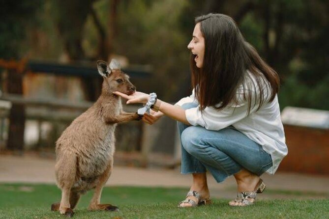 From Sydney: Blue Mountains Private Tour with Wildlife Park - Key highlights in plain English