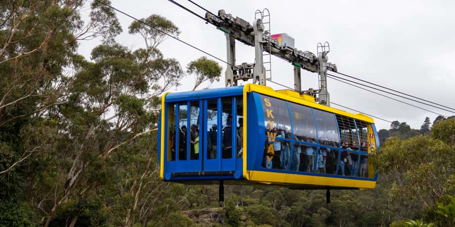 From Sydney: Blue Mountains, Scenic Railway, & Sydney Zoo - Sydney Zoo: kangaroos up close, plus a culture talk that changes the tone