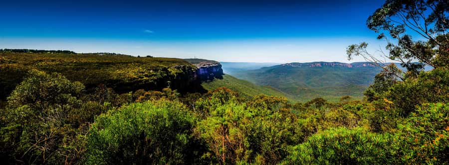 From Sydney: Blue Mountains Small-Group Tour Picnic & Hike - Key Moments Worth Your Camera Battery