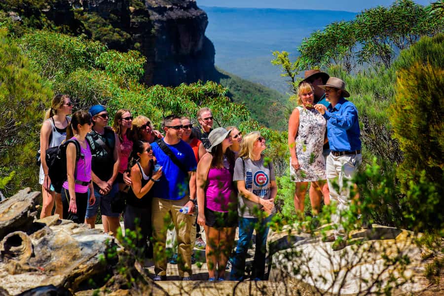 From Sydney: Blue Mountains Small-Group Tour Picnic & Hike - Who Should Book This Blue Mountains Picnic & Hike?