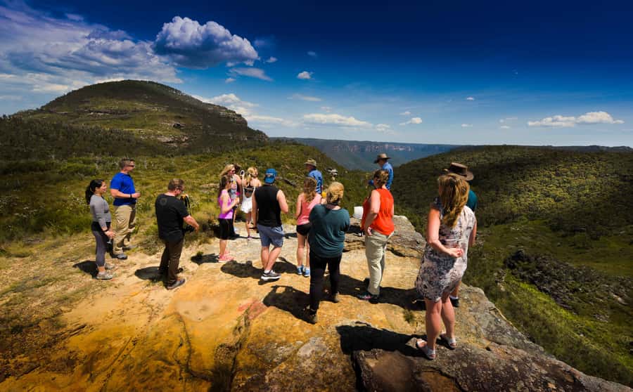 From Sydney: Blue Mountains Small-Group Tour Picnic & Hike - Calmsley Hill City Farm: Kangaroos, Emus, Wombats, and Koalas