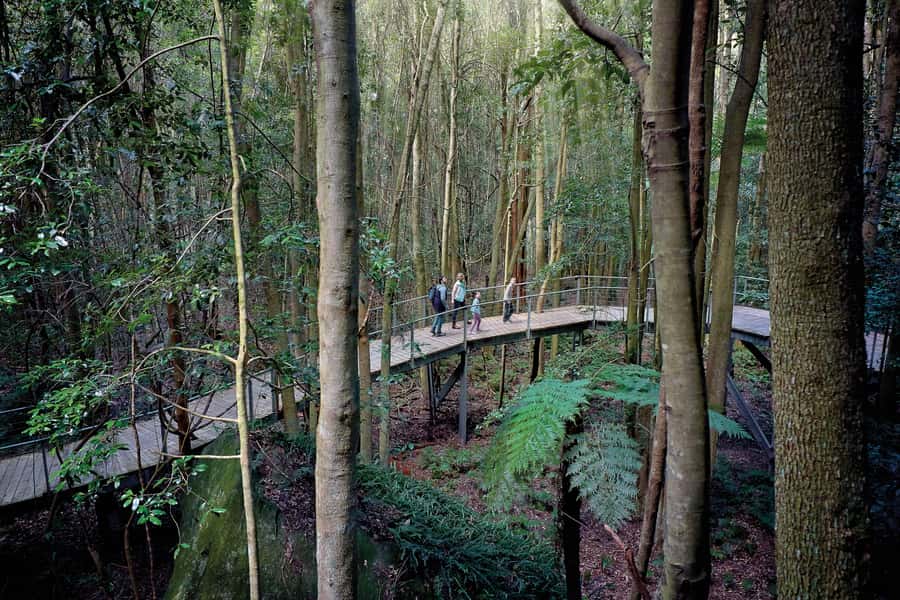 From Sydney: Blue Mountains, Sydney Zoo & Walking Tour - Katoomba Falls and the self-guided walking choices