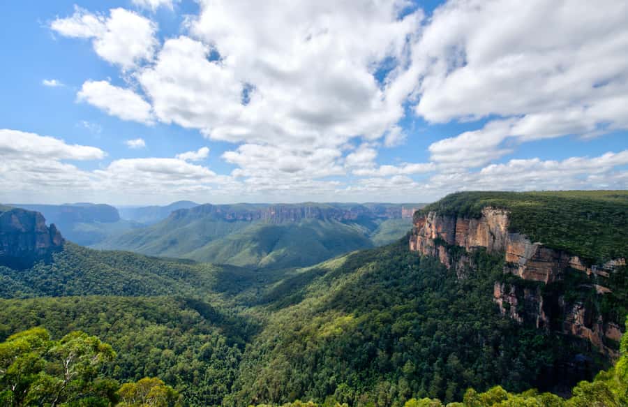 From Sydney: Blue Mountains, Sydney Zoo & Walking Tour - Scenic World Katoomba: boardwalk views plus optional train and cable car