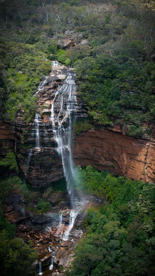 From Sydney: Blue Mountains, Sydney Zoo & Walking Tour - The end of the day: Homebush Bay, a river boat ride, and Sydney Olympic Park