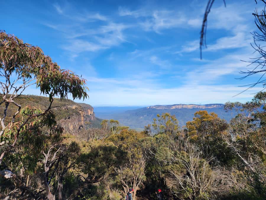 From Sydney: Blue Mountains Tour with Waterfall Walk & Lunch - Key Points at a Glance