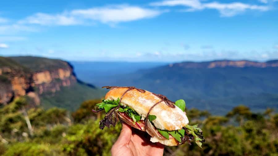 From Sydney: Blue Mountains Tour with Waterfall Walk & Lunch - Who This Tour Is Best For (and Who Should Skip It)
