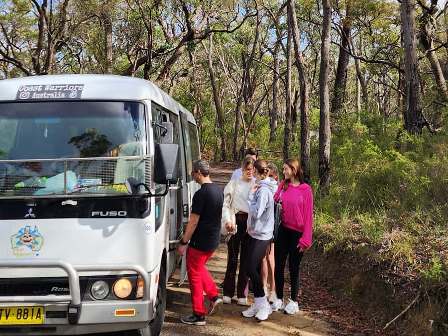 From Sydney: Blue Mountains Tour with Waterfall Walk & Lunch - How the Day Runs: Timing, Meeting Point, and Why It Matters