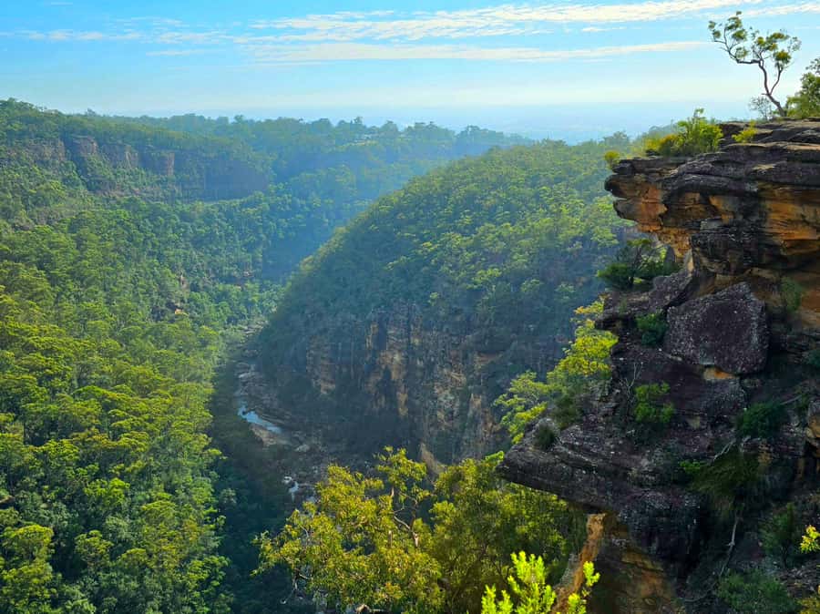 From Sydney: Blue Mountains Tour with Waterfall Walk & Lunch - Lunch and Snacks: A Fresh Roll That Fits a Long Hike