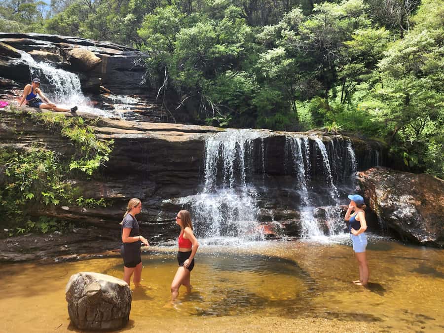 From Sydney: Blue Mountains Tour with Waterfall Walk & Lunch - The Walk Difficulty: Moderate Fitness, Big Steps, and That Optional Hard Return