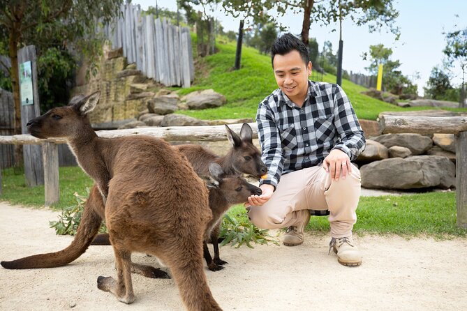From Sydney: Blue Mountains with Zoo, Koala Photo & Scenic World - Leura Village Lunch Stop: Plan to Eat Your Own Way