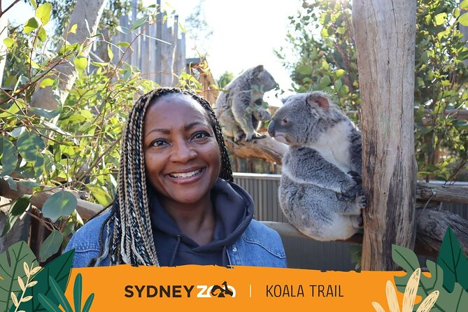 From Sydney: Blue Mountains with Zoo, Koala Photo & Scenic World - Price and Value: What You’re Getting for $149.90