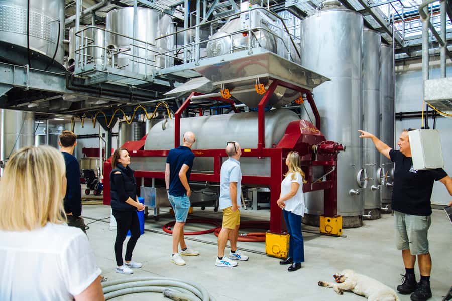 From Sydney: Full-Day Hunter Valley Tour w/ Tastings & Lunch - Guides, music, and those extra touches like kangaroos