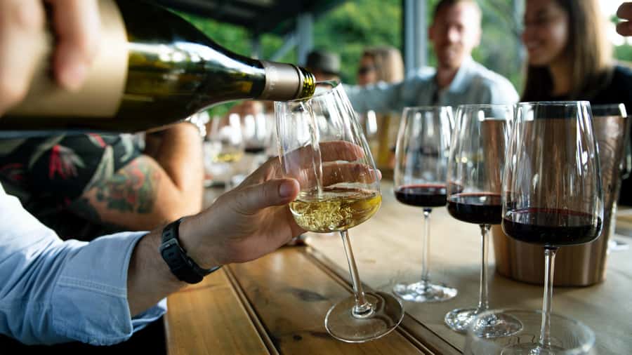 From Sydney: Full-Day Hunter Valley Tour w/ Tastings & Lunch - From pickup to van rides: how the day flows