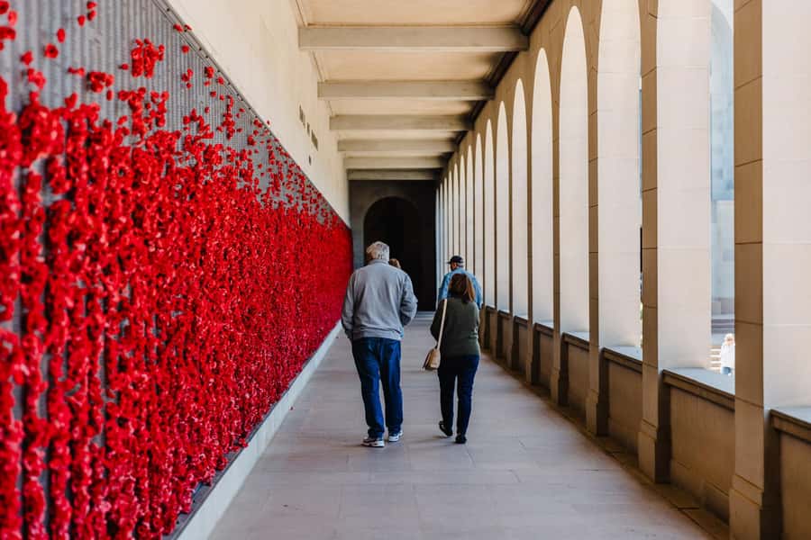 From Sydney: Full-Day Tour to Canberra - Floriade season bonus: September to October if your dates match