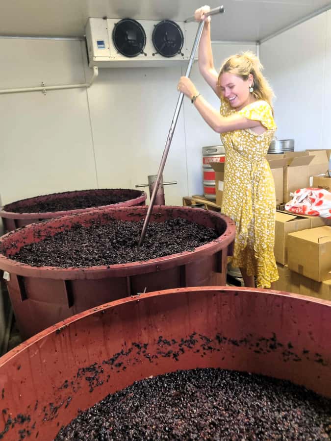From Sydney: Hunter Valley Beer & Wine Group Tour - Key things I’d plan around before you go