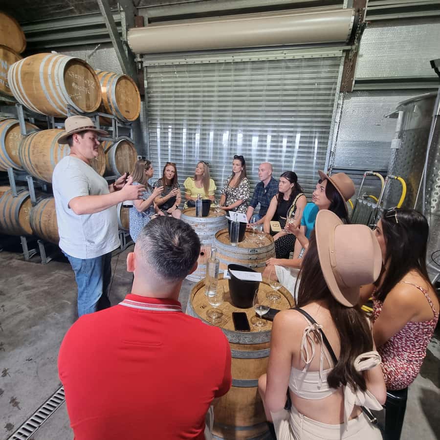 From Sydney: Hunter Valley Wine, Gin & Food Tastings Tour - Key Highlights You’ll Care About