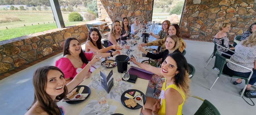 From Sydney: Hunter Valley Wine, Gin & Food Tastings Tour - Who Should Book This Tour (and Who Should Skip It)