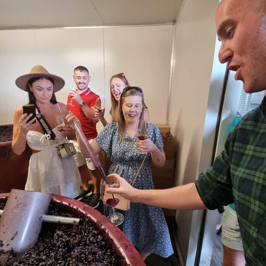 From Sydney: Hunter Valley Wine, Gin & Food Tastings Tour - Cheese and Chocolate Pairings: How to Taste Like You Mean It