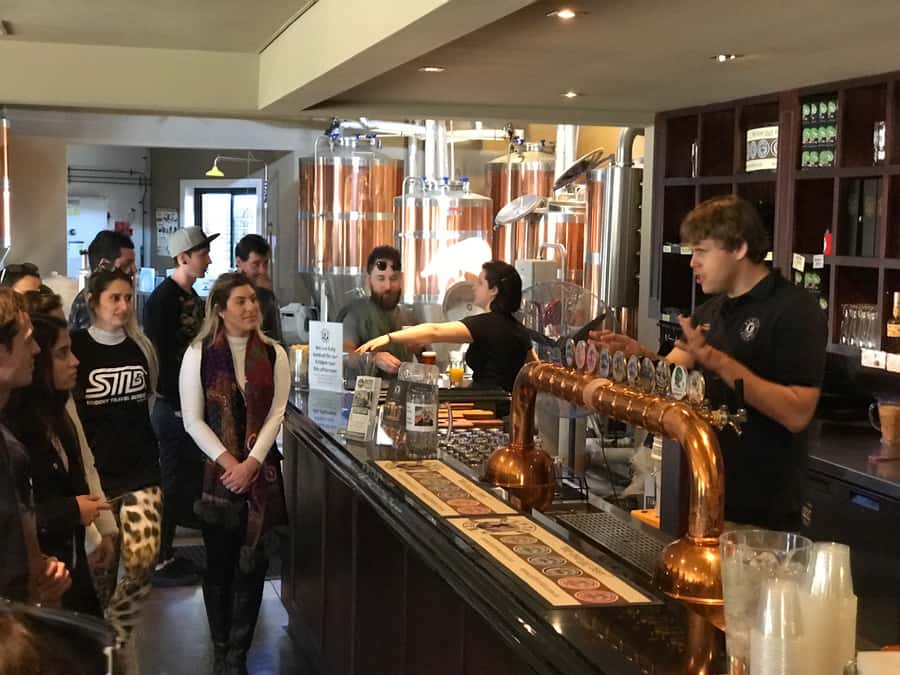 From Sydney: Hunter Valley Wine Tasting & Winery Picnic Tour - Hunter Valley Chocolate Company: the sweet stop with real variety