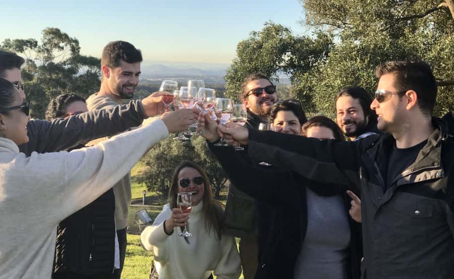 From Sydney: Hunter Valley Wine Tasting & Winery Picnic Tour - Sobels Winery: behind-the-scenes tastings that set the tone