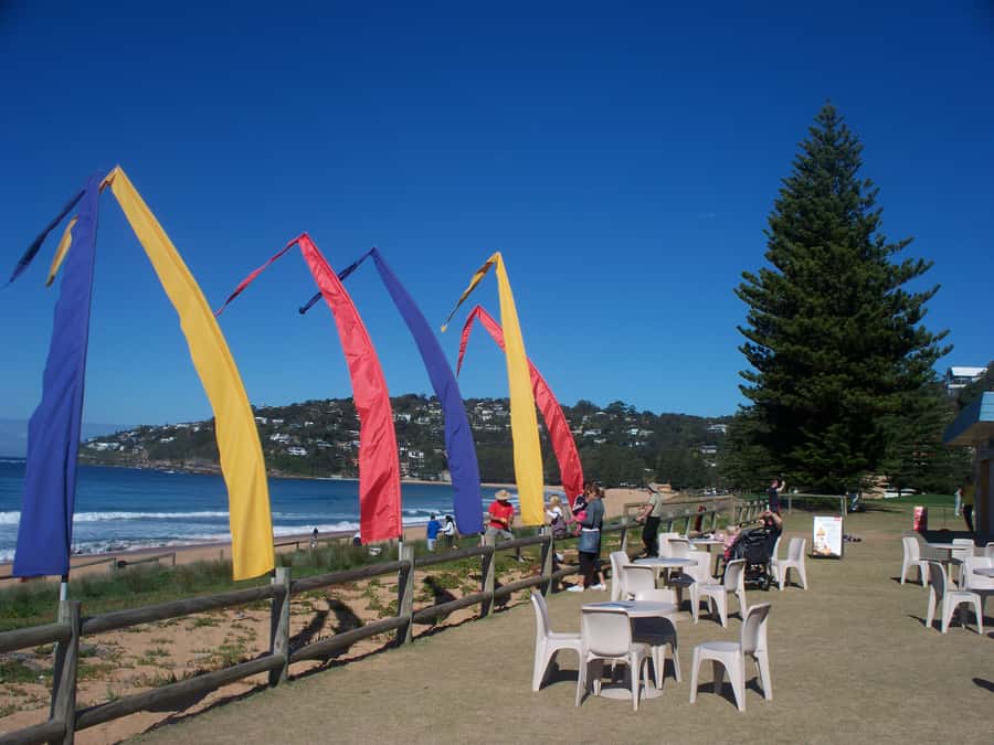 From Sydney: Location Tour of Home and Away - A TV-locations day that doesn’t feel like a theme park