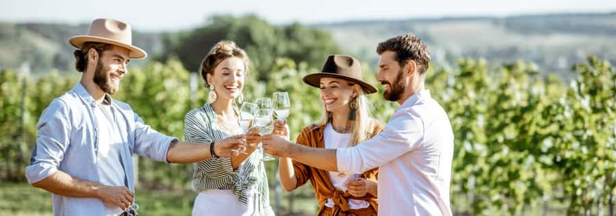 From Sydney: Luxury Hunter Valley Private Tour - Sydney Pickup, North-Connex Tunnel, and the Wollombi Coffee Start