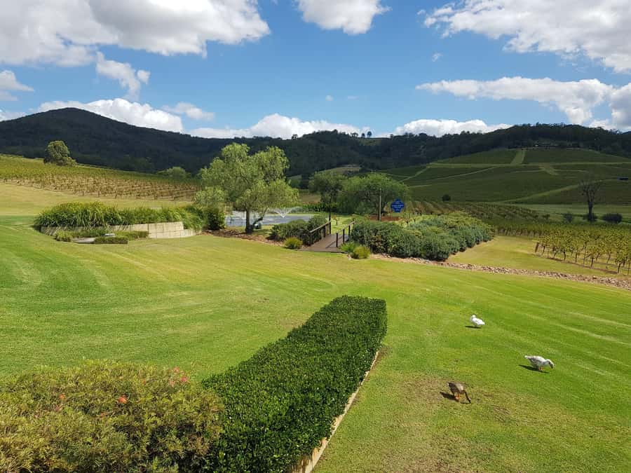 From Sydney: Luxury Hunter Valley Private Tour - Cellar Door Stops: Boutique Charm Meets Big-Name Brands