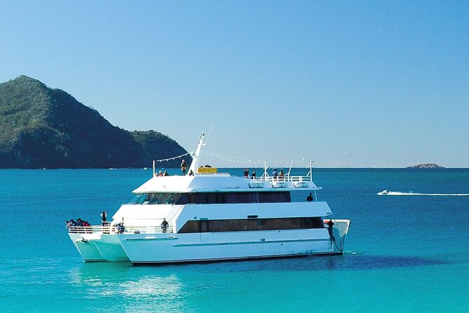From Sydney: Port Stephens Dolphin, Koalas, Lunch & Sandboarding - Nelson Bay dolphin cruise on Moonshadow: the star, with real-world odds