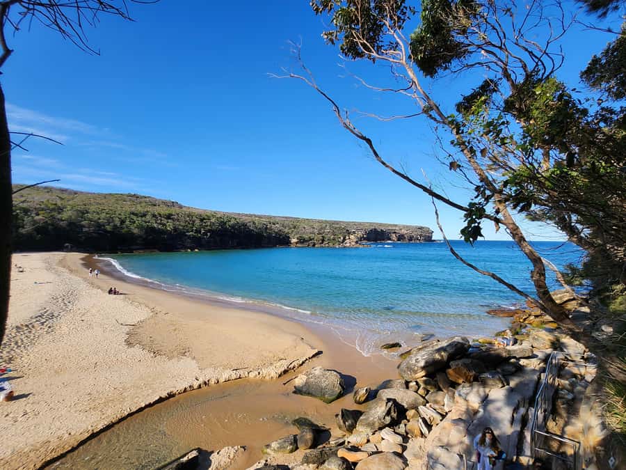 From Sydney: Royal National Park, Wollongong, and Kiama Tour - Royal National Park: protected coastal views with real guide time