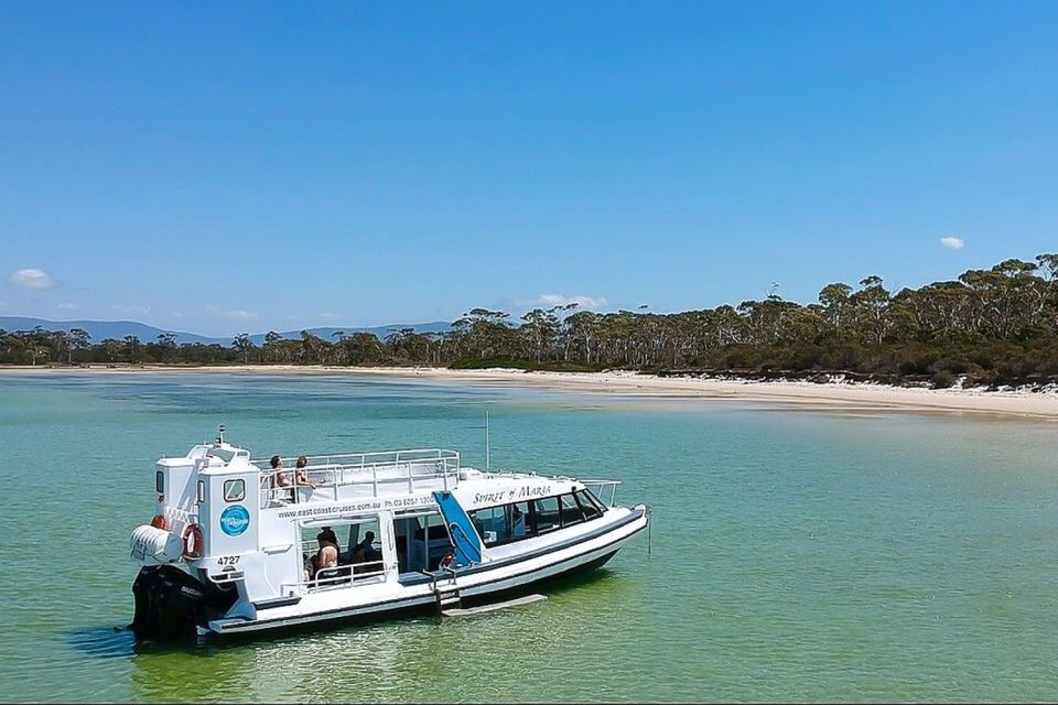 From Triabunna: Maria Island Cruise & Guided Walk with Lunch - Island of Seals (Ile Des Phoques): where you hope for dolphins, fur seals, and seabirds