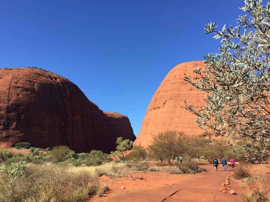 From Yulara: 3-Hour Small Group Kata Tjuta Afternoon Tour - Kata Tjuta First Views: Spotting the 36 domes fast