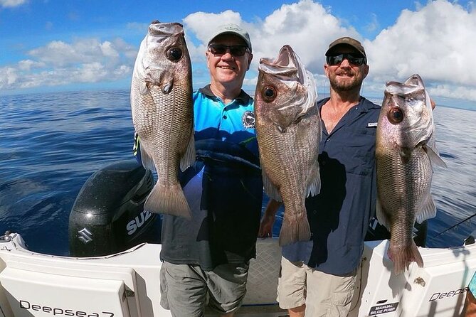 Full Day 9 Hour Offshore Fishing Charter - Price and logistics: is $247.45 worth it for Noosa offshore fishing?