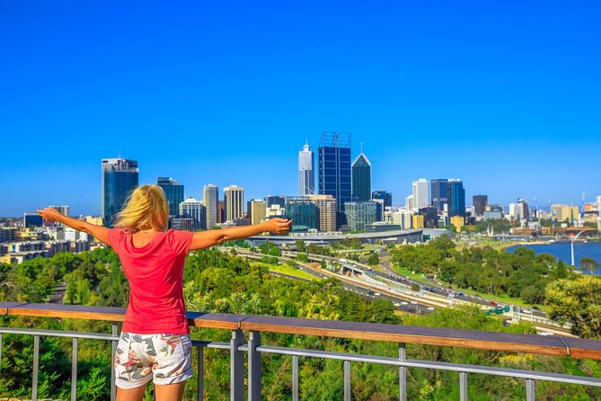 Full-Day Boutique Wine Tour with Pick Up and Lunch - Who this tour suits best (and who should skip it)