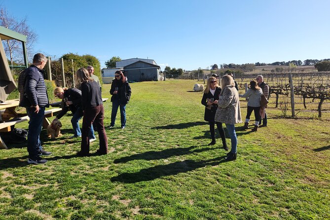 Full-Day Canberra Brewery, Wineries & Distillery tour /w lunch - BentSpoke Brewing Co.: Canberra craft beer with the Crankshaft draw