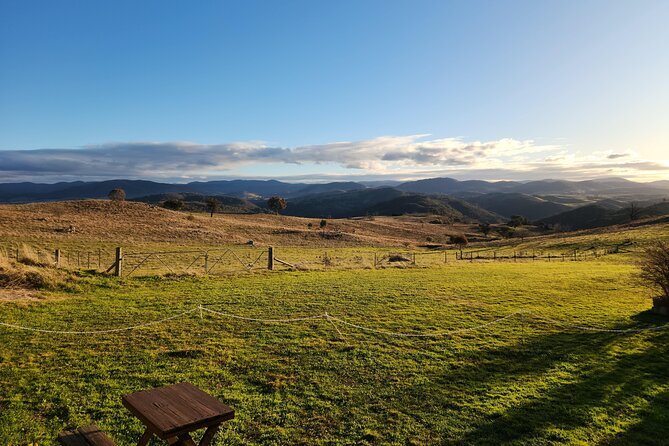 Full-Day Canberra Brewery, Wineries & Distillery tour /w lunch - Price at $185.77: does this tour feel like value?