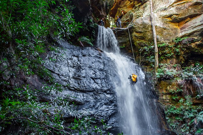 Full-Day Canyoning Experience at Stunning Empress Canyon - Inside Empress Canyon: jumps, swims, waterslides, and fast-moving fun