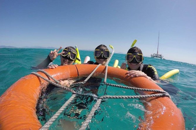 Full-Day Great Barrier Reef Sailing Trip from Cairns - Key things I’d bank on before you go