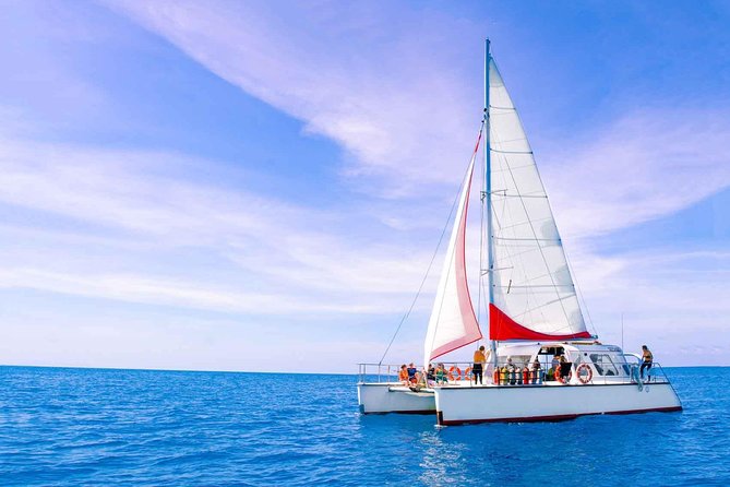 Full-Day Great Barrier Reef Sailing Trip from Cairns - Snorkeling at Upolu Reef and the sheltered lagoon: the main event