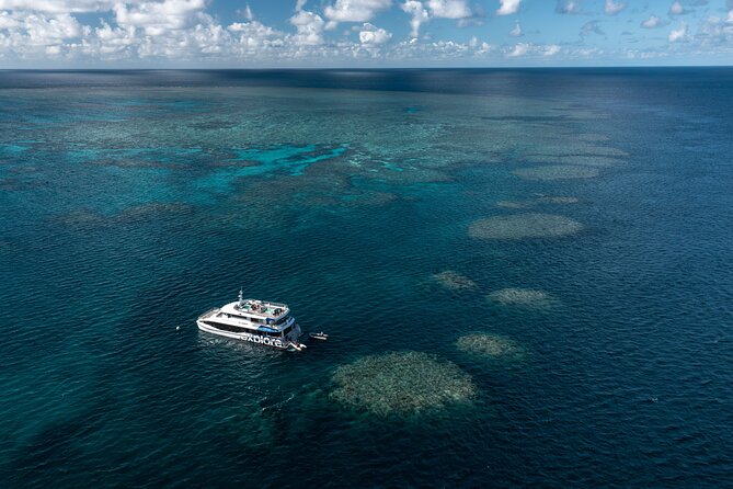 Full-Day Great Barrier Reef Snorkeling from Hamilton Island - Quick hits before you go