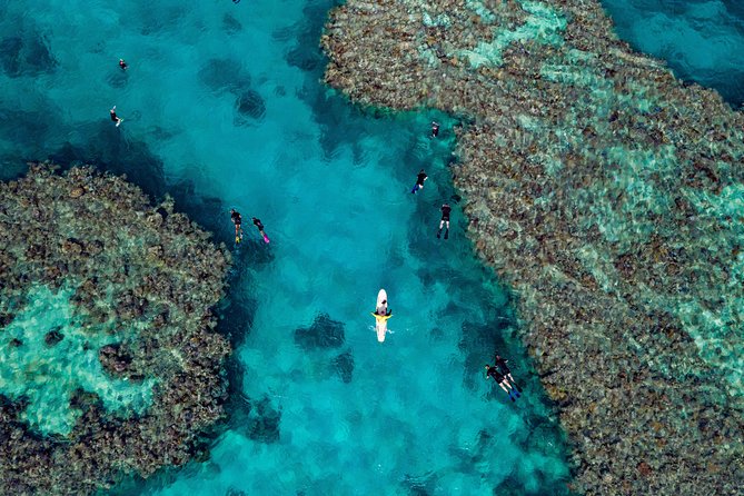 Full-Day Great Barrier Reef Snorkeling from Hamilton Island - Two reef drops, and why the timing matters