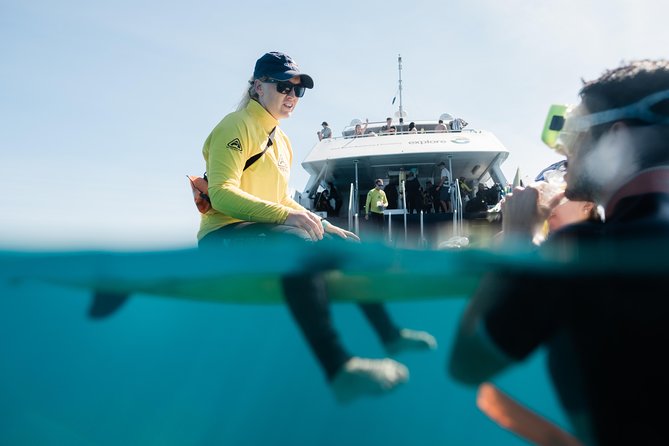 Full-Day Great Barrier Reef Snorkeling from Hamilton Island - Who should book this Hamilton Island reef snorkeling day