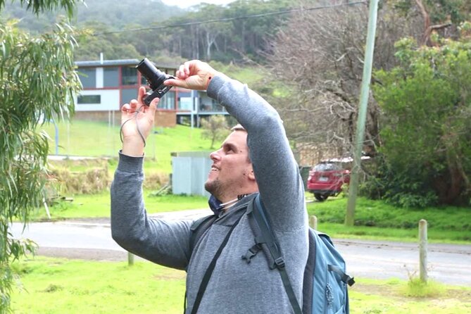 Full-Day Great Ocean Road and 12 Apostles Sunset Tour from Melbourne - Why a Great Ocean Road sunset timing matters more than you think