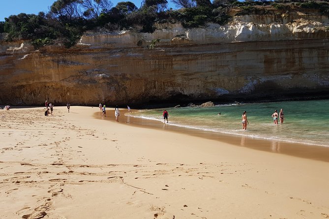 Full-Day Great Ocean Road Tour from Melbourne - Lunch at Yatzies and a Quick Reset in Otways Country Gardens