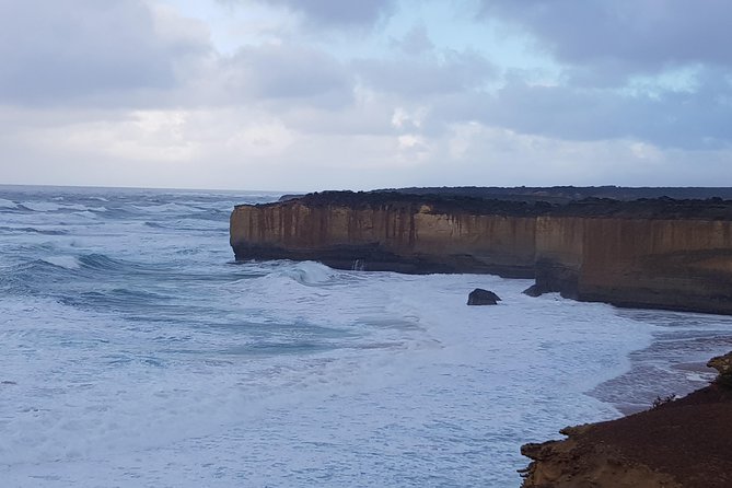Full-Day Great Ocean Road Tour from Melbourne - Mait’s Rest in Otway Forest: Short Rainforest Walking Time